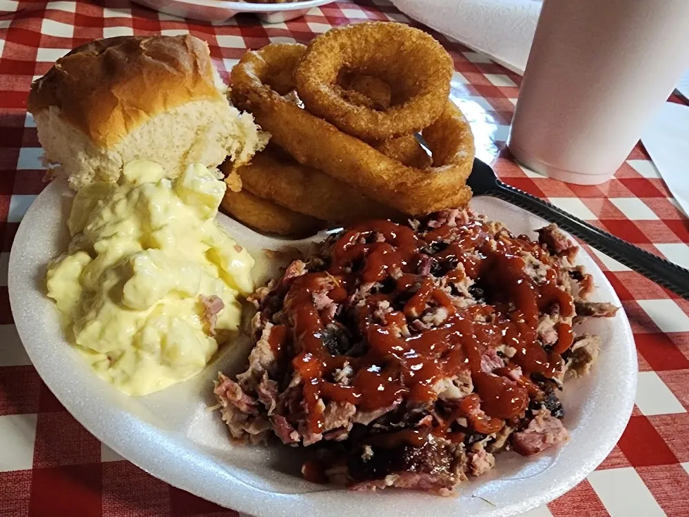 BBQ Plate Chopped Pork with Potato Salad and Onion Rings